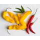 Chili Chili