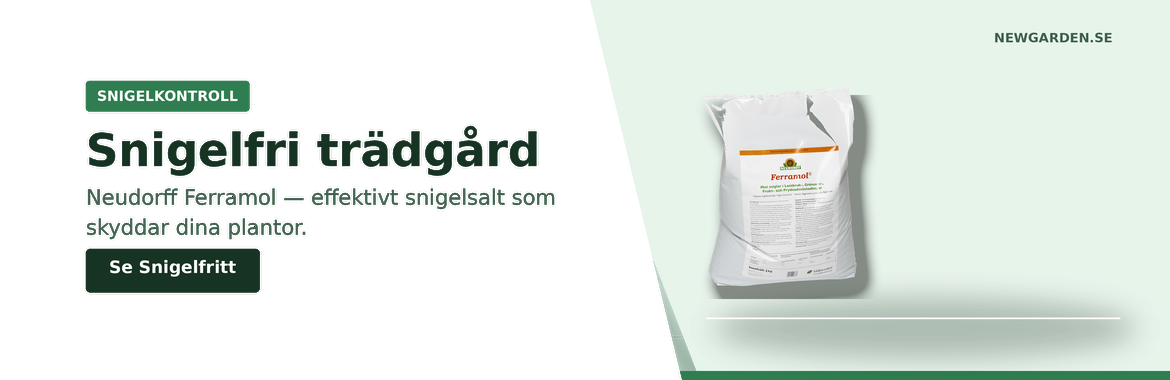 Snigelfri trädgård