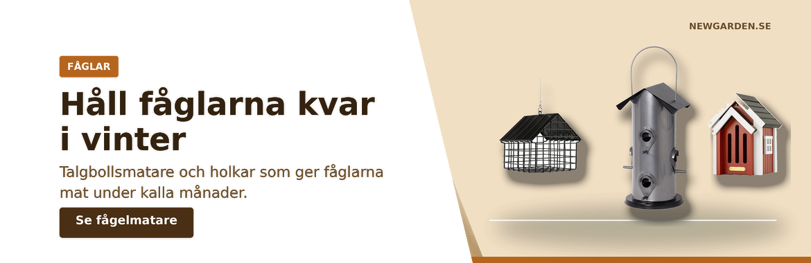 Håll fåglarna kvar i vinter