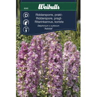 Weibulls Praktriddarsporre - delphinium 6345, Nyhet Weibulls Praktriddarsporre - delphinium 6345, Nyhet