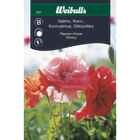 Weibulls Vallmo, korn - papaver rhoeas 7051