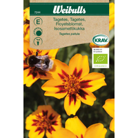 Weibulls Tagetes Hög 7244, KRAV, Nyhet Weibulls Tagetes Hög 7244, KRAV, Nyhet
