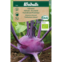 Weibulls Kålrabbi  - brassica oleracera 7944, KRAV Nyhet Weibulls Kålrabbi  - brassica oleracera 7944, KRAV Nyhet