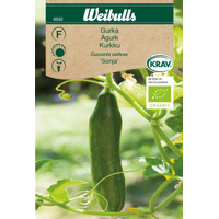 Weibulls Gurka - cucumis sativus Sonja 8032 KRAV Nyhet Weibulls Gurka - cucumis sativus Sonja 8032 KRAV Nyhet