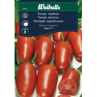 Weibulls Tomat Agro F1 8612, Nyhet 2023, San Marzanotyp