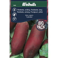 Weibulls Rödbeta, Cylindra avlång - beta vulgaris 7868 Storpack  Nyhet 2022