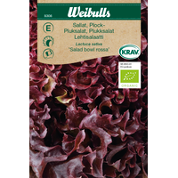 Weibulls Plocksallat Salad Bowl Rossa KRAV 8308 - lactuca sativa, Nyhet  Weibulls Plocksallat Salad Bowl Rossa KRAV 8308 - lactuca sativa, Nyhet