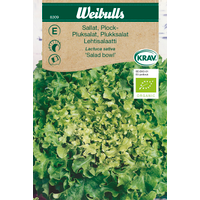 Weibulls Plocksallat Salad bowl KRAV 8309 - lactuca sativa, Nyhet 2021 Weibulls Plocksallat Salad bowl KRAV 8309 - lactuca sativa, Nyhet 2021