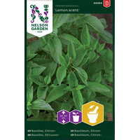 Nelson Garden Basilika, citron--'lemon scent' -  ocimum basilicum l. 90068