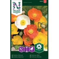 Nelson Garden Sibirisk vallmo -  - papaver croceum 95801