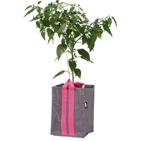  Plantkasse Blueberry Medium Antracit 21l