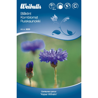 Weibulls Blåklint   - centaurea cyanus Weibulls Blåklint   - centaurea cyanus