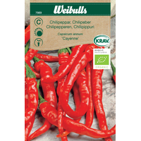 Weibulls Chili cayenne long slim - capsicum annuum 7989 KRAV Weibulls Chili cayenne long slim - capsicum annuum 7989 KRAV