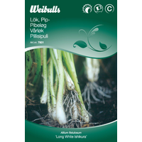Weibulls Lök, piplök/salladslök - allium fistulosum Weibulls Lök, piplök/salladslök - allium fistulosum