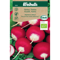 Weibulls Rädisa  krav - raphanus sativus 8558 Weibulls Rädisa  krav - raphanus sativus 8558