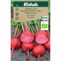 Weibulls Rödbeta, polka - beta vulgaris KRAV 7859