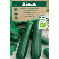 Weibulls Squash-sommarpumpa - cucurbita pepo 8114, KRAV