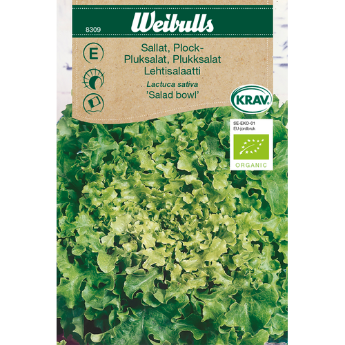 Weibulls Weibulls Plocksallat Salad bowl KRAV 8309 - lactuca sativa, Nyhet 2021