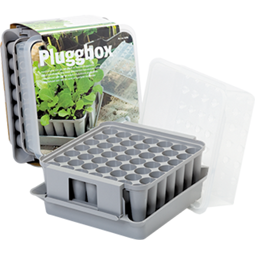 Nelson Garden Nelson Pluggbox Grå