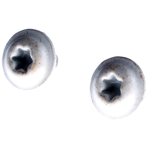 Gardena Skruv 6mm  | 575543306 Gardena / Husqvarna