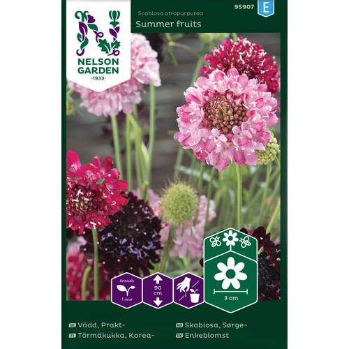 Nelson Garden Fröer Nelson Garden Praktvädd - 'summer fruits' - scabiosa atropurpurea 