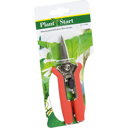 Nelson Garden Nelson  Blomstersax