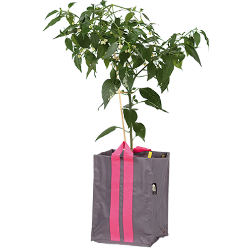 Nelson Garden  Plantkasse Blueberry Medium Antracit 21l