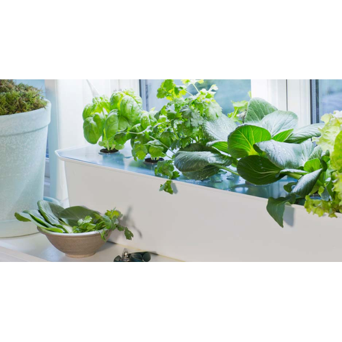 Nelson Garden Nelson Garden HYDROPONISK ODLING HARVY, VITT LOCK, Startpaket Artnr. N5551