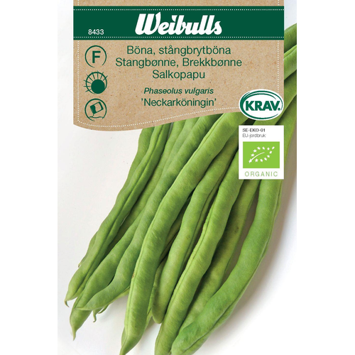 Weibulls Weibulls  böna, stångbrytböna  - phaseolus vulgaris