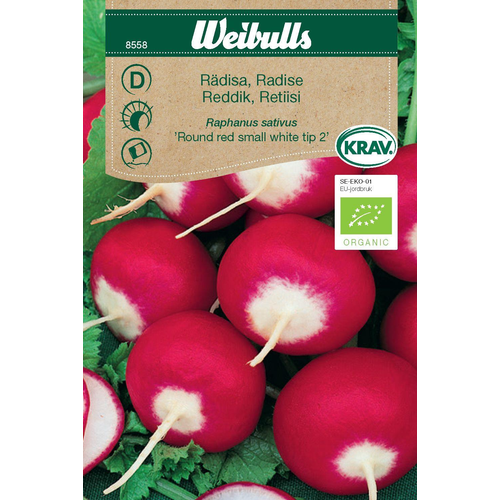 Weibulls Weibulls Rädisa  krav - raphanus sativus 8558