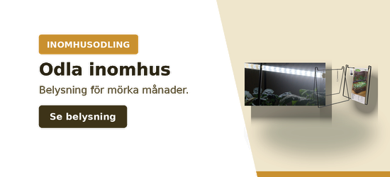Odla inomhus