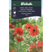 Weibulls Vallmo, orient  - papaver orientale l 7025