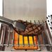 Broil king baron™ s 590 ir