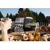 Broil king baron™ s 590 ir