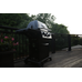 Broil king royal™ 390 shadow