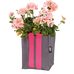  Plantkasse Blueberry Small Antracit  10l