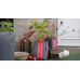  Plantkasse Blueberry XSmall Antracit 2 l