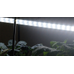 Nelson Garden Växtbelysning LED-ramp 60cm 15W, Startset 5566